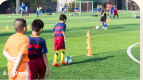 Mix Foot