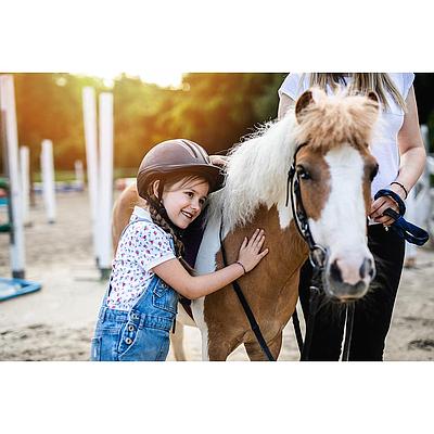 Mix Poney – TOAC